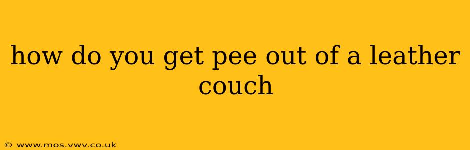 how do you get pee out of a leather couch