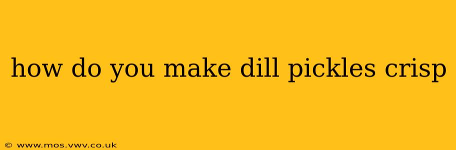 how do you make dill pickles crisp