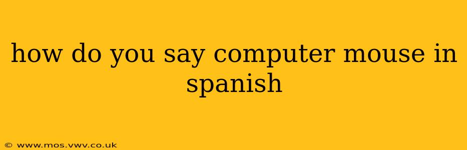 how do you say computer mouse in spanish