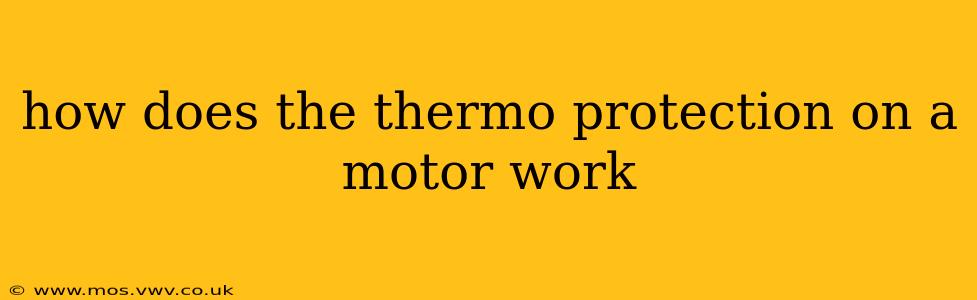 how does the thermo protection on a motor work