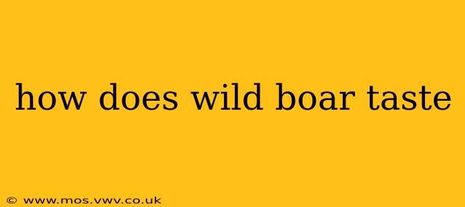 how does wild boar taste