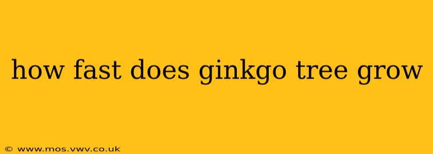 how fast does ginkgo tree grow