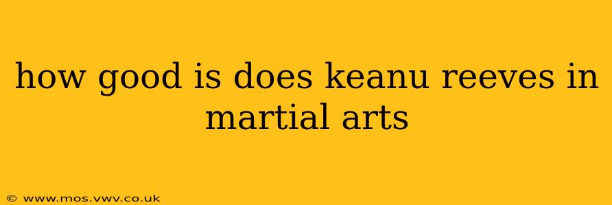 how good is does keanu reeves in martial arts