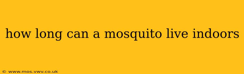 how long can a mosquito live indoors