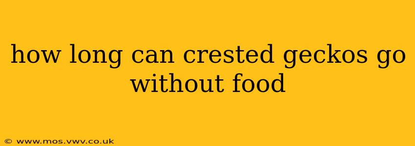 how long can crested geckos go without food