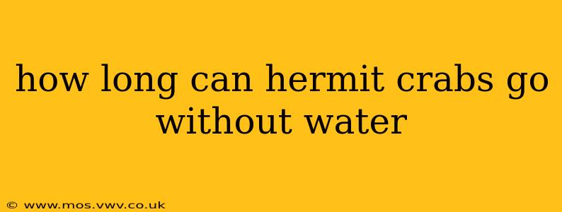 how long can hermit crabs go without water