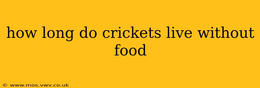 how long do crickets live without food
