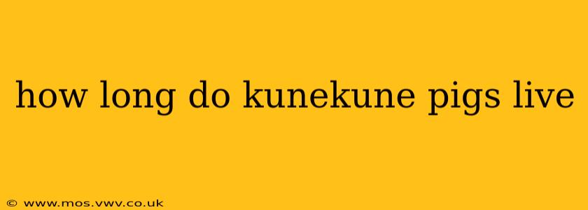 how long do kunekune pigs live