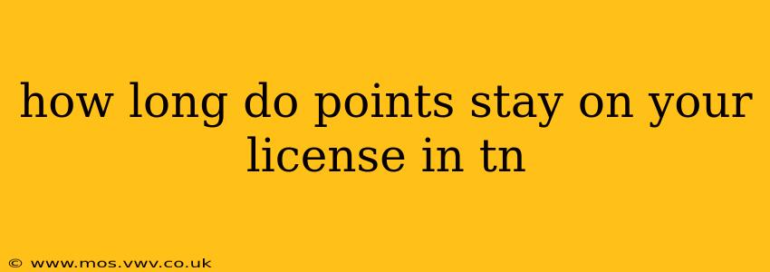 how long do points stay on your license in tn