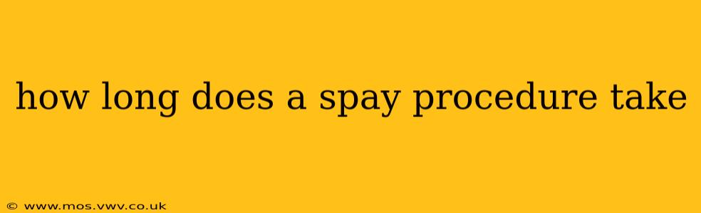how long does a spay procedure take