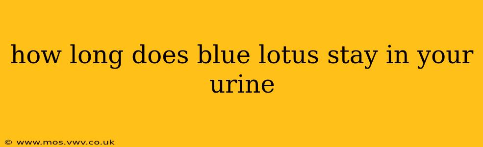 how long does blue lotus stay in your urine