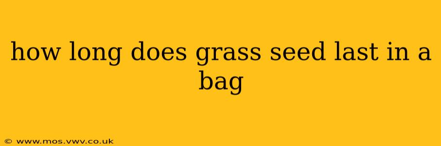 how long does grass seed last in a bag