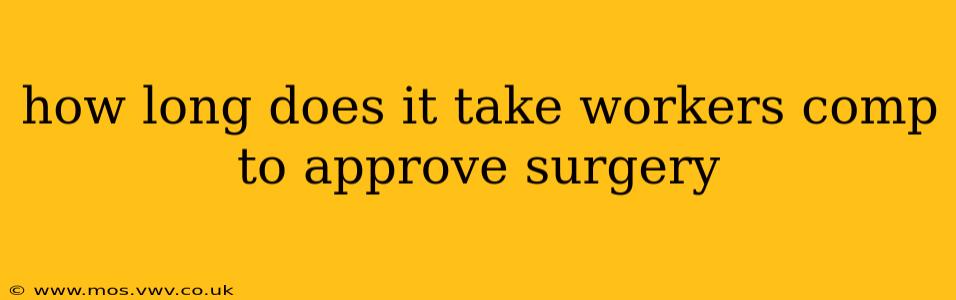 how long does it take workers comp to approve surgery