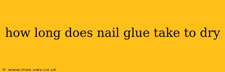 how long does nail glue take to dry