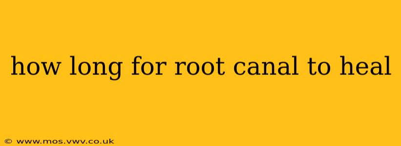 how long for root canal to heal