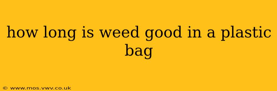 how long is weed good in a plastic bag