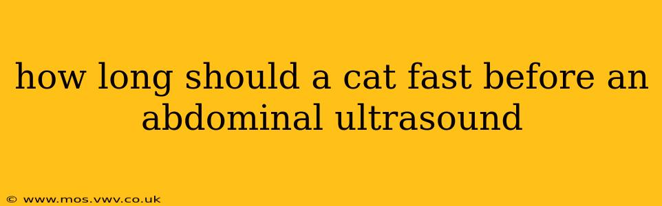 how long should a cat fast before an abdominal ultrasound