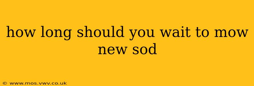 how long should you wait to mow new sod