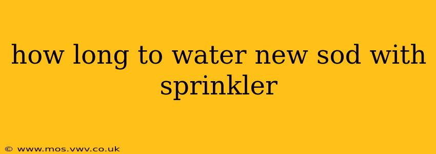 how long to water new sod with sprinkler
