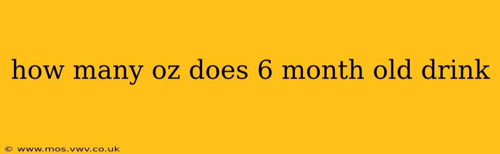how many oz does 6 month old drink