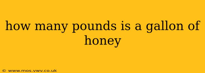 how many pounds is a gallon of honey