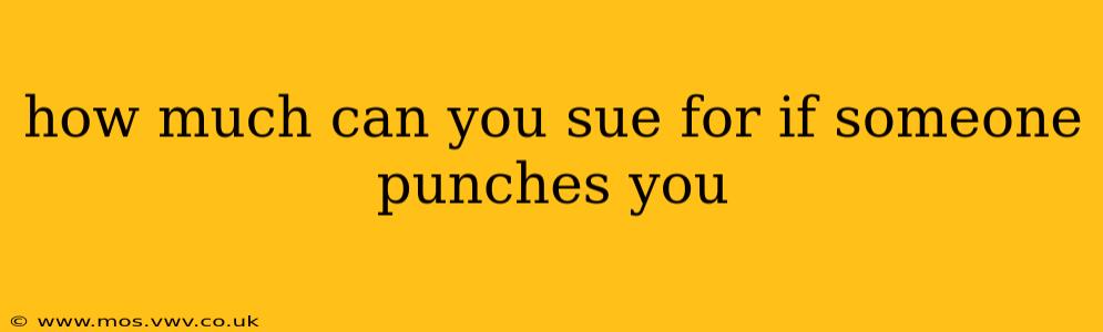 how much can you sue for if someone punches you