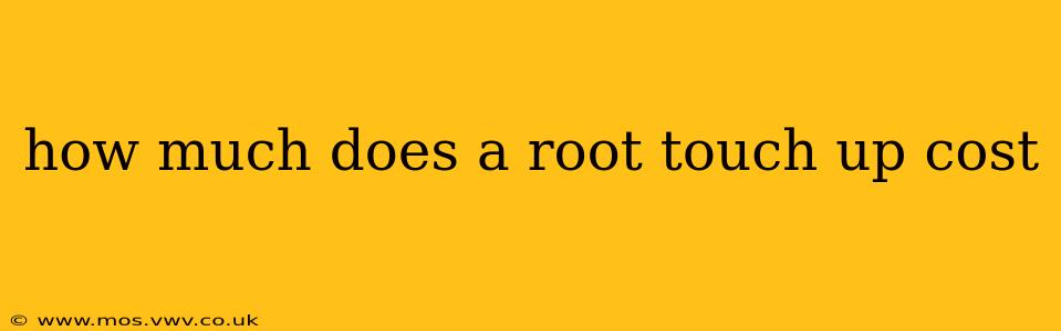 how much does a root touch up cost