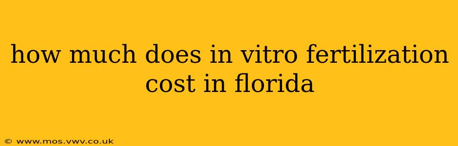 how much does in vitro fertilization cost in florida