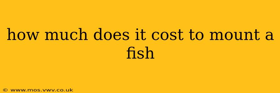 how much does it cost to mount a fish
