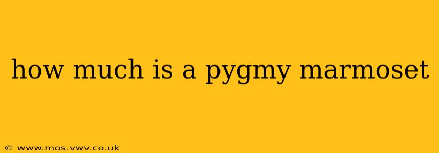 how much is a pygmy marmoset