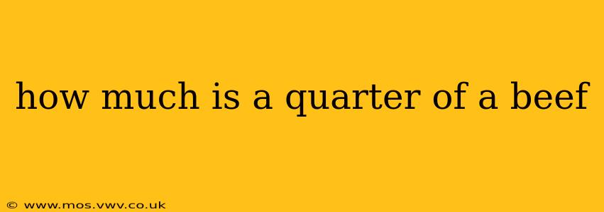 how much is a quarter of a beef