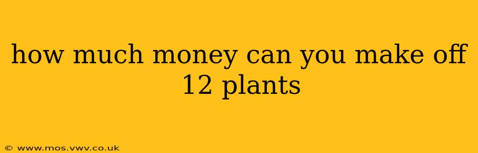how much money can you make off 12 plants