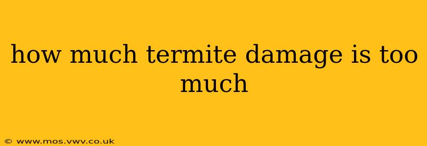 how much termite damage is too much