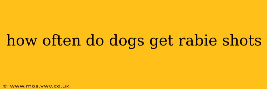 how often do dogs get rabie shots