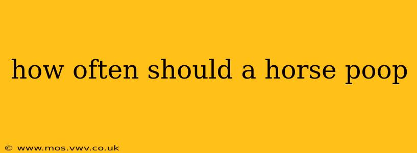 how often should a horse poop