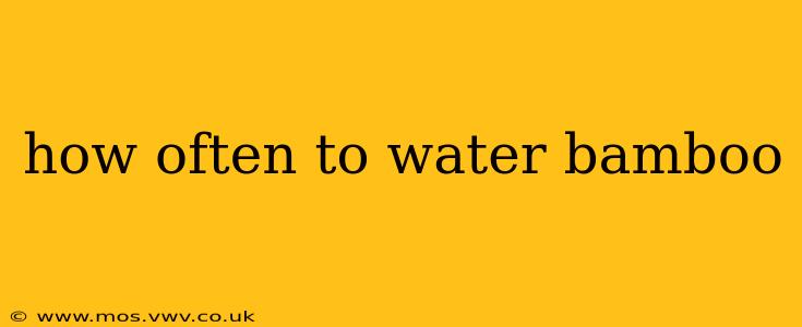 how often to water bamboo