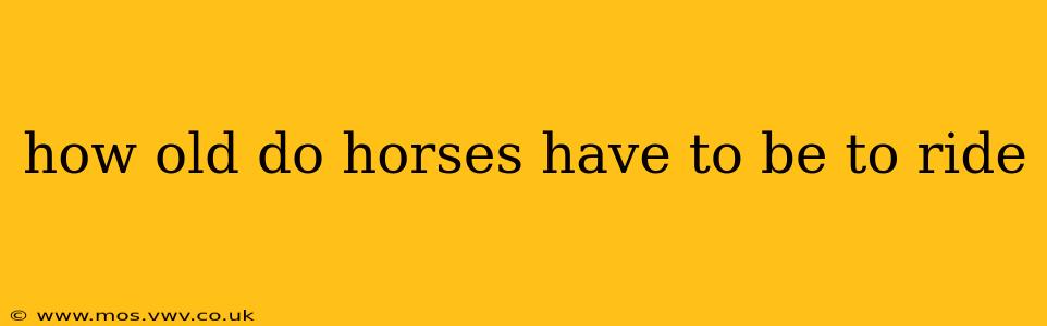 how old do horses have to be to ride