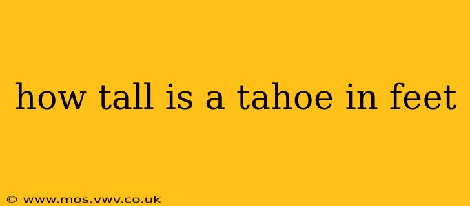 how tall is a tahoe in feet