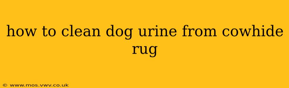 how to clean dog urine from cowhide rug