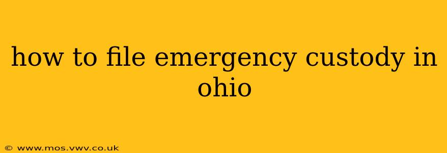 how to file emergency custody in ohio
