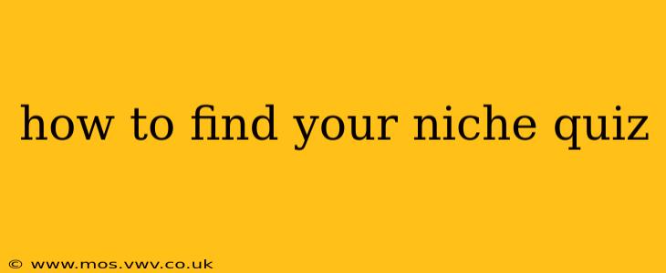 how to find your niche quiz