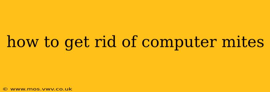 how to get rid of computer mites