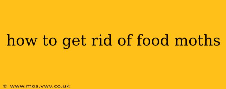 how to get rid of food moths