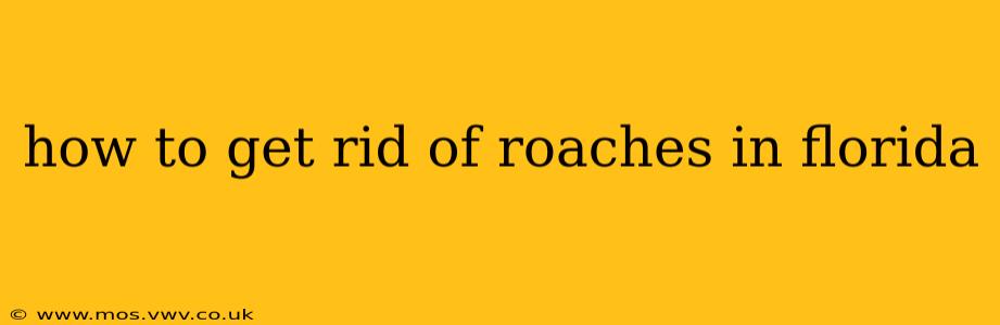 how to get rid of roaches in florida