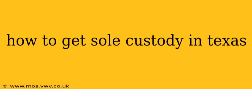 how to get sole custody in texas