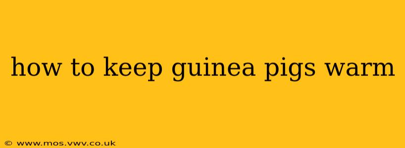 how to keep guinea pigs warm