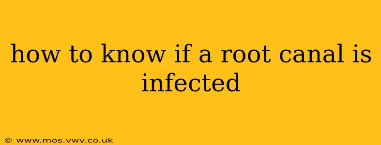 how to know if a root canal is infected
