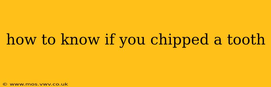 how to know if you chipped a tooth