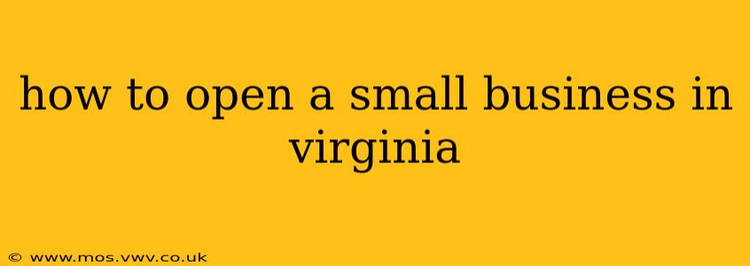how to open a small business in virginia