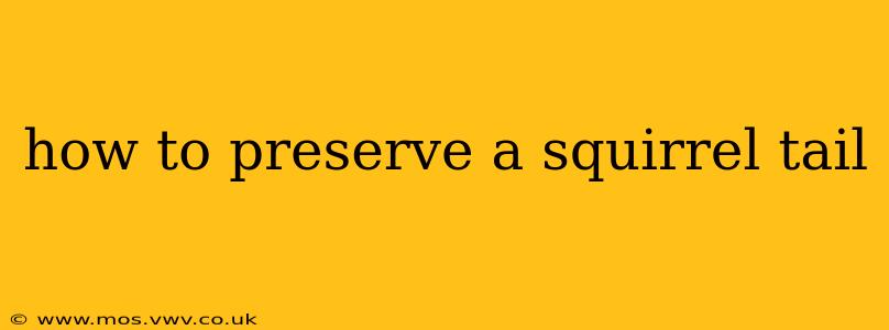 how to preserve a squirrel tail